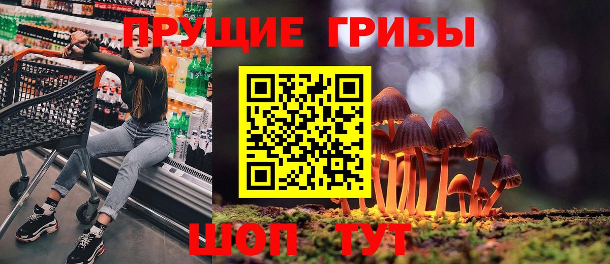 Псилоцибиновые грибы прущие грибы Истра